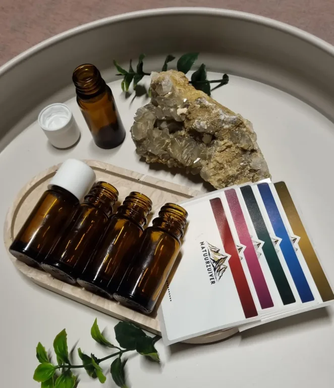 Druppelflesjes set van 5 | leeg 10ml diy & benodigdheden van Natuurzuiver